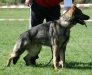 Nash Stand FGK 2009 A